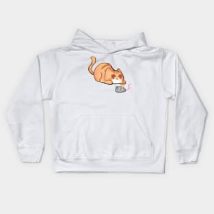 Orange Tabby Cat Playing With Mouse Kids Hoodie